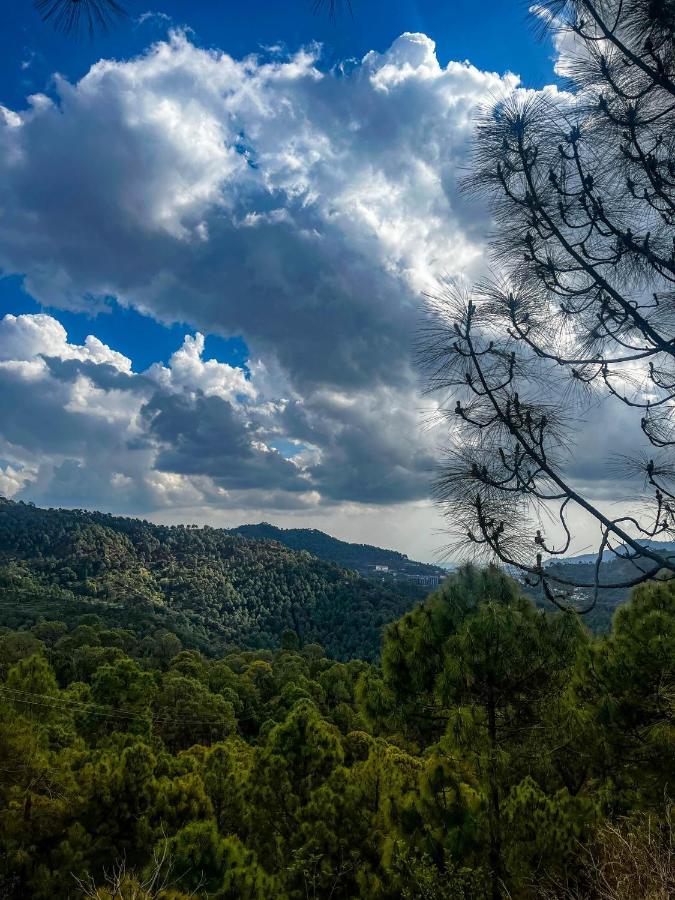 Casa Belvedere Luxury Villas Dagshai Dış mekan fotoğraf